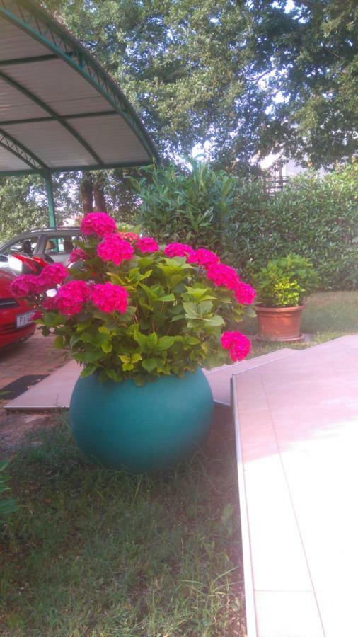 Apartmani Bauk Porec Exterior photo